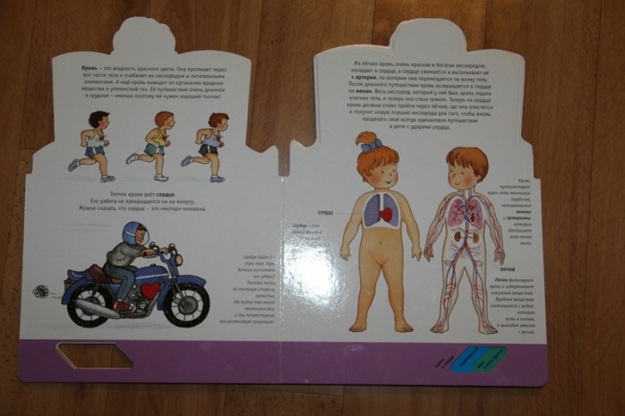 книги для детей по анатомии.jpg