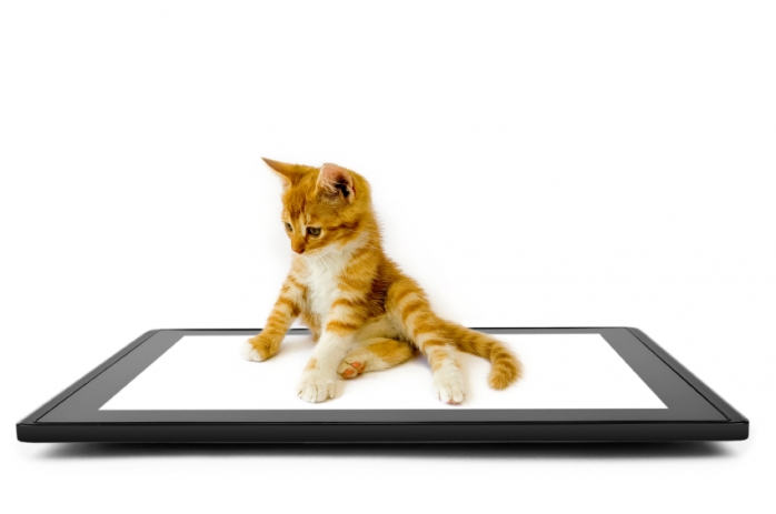 Приложения для iPad в дорогу: котики
