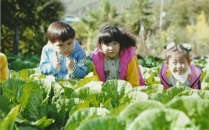 Как все устроено: эко-образование в детском саду Кореи